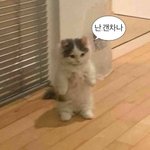 [댓글부탁해] 나 너무 <b>불안</b>한데 댓글 좀 달아주라