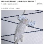 [ㅈㄱㄴ] 진짜 비싼 백 하나 있으니까 너무 행복하다