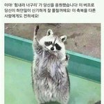 [댓글부탁해] 생일인데 bbq <b>황</b><b>올</b> 푸라닭 콘소메이징 추반
