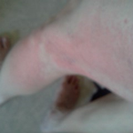 윤대통령 님 신종악성 유해<b>물질</b> 실험 중단 시켜 주세요