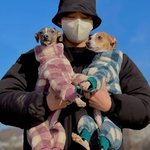 [방탄소년단] 꾹이 쏭 팽 <b>이랑</b> 놀았나보네