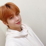 <b>확신</b>의 멍뭉상 강다니엘