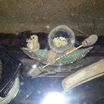 [알래스카] ALASKA "Hamburger를 경비행기로 배달하다...