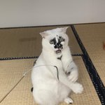 [19] 여자애들아 얼평이랑 <b>몸평</b>좀