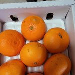 [이것좀봐줘] 홈쇼핑에서 과일 절대 <b>사지</b>마세요~