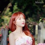 <b>홍진영</b> 컴백 나는 기대중..