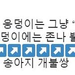 [시애러] 못된<b>송아지</b>랑 착한<b>송아지</b> 뿔 이거 ㅈㄴ웃김ㅋㅋㅋ