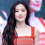 나 여돌 취향 ㅈㄴ 소나무임
