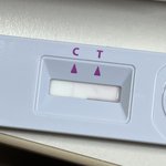 자가키트 그럼 이거는<b>몇줄</b>같아?ㅠ