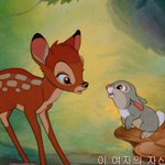 솔직히 얼굴에서 눈이랑<b>코</b>중에 뭐가더 중요함