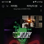 [스키즈] 아니
