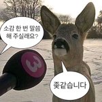 [댓글부탁해] 친한<b>남자</b>애 생일인데 생일<b>선물</b>
