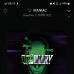 [스키즈] 테이들!!