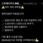 [스키즈] ‼️스밍+선물+다운‼️ (( 인.가 <b>사전</b>투표 매일! ))