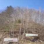 달랑 하나밖에없는 아들 <b>장가</b> 보내고 싶네요. ㅠㅠ
