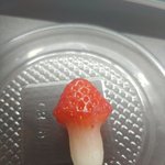 [드루와] 내가 <b>재배</b>한 딸기버섯