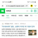 강아지 11층 던져 살해
