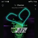 [스키즈] 힘<b>내자</b>❤️