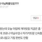 ㅃㄹ 코로나 <b>이랫</b>던애들 잇어????