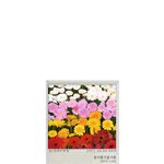 빅뱅이 돌아왔어