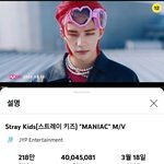 [스키즈] 뮤비 4000만뷰!!