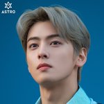 차은우나 보고가