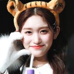 애교 장인들의 <b>현란</b>한 손 동작