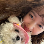 위키미키 세이 히피펌 보니까 <b>뽐뿌</b>온다