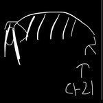 [진격의거인] 에렌 시조거인은 어케 걸어<b>다님</b>