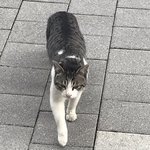 아니 나 오늘 아침에 학교가는데