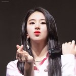 <b>채영</b>은 왜 대체