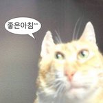 너네 공부 잘하는 애들 <b>편애</b>하는 쌤 보면