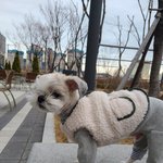 [더보이즈] 다<b>롱이</b>……ㄱㅇㅇ