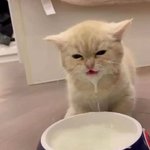 [<b>19</b>] ㅈㄴ 어이없는 내 첫사랑<b>썰</b> 들을사람