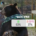 [방탄소년단] 보았느냐 <b>호랭이</b>파들아!!