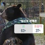 [군대] 당연히 <b>곰돌</b>이 아니냐