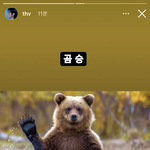 [군대] 축배를 들어라 <b>곰돌</b>파여