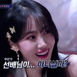 퀸덤2 여름 신비 <b>여진</b> 노제 모먼트