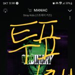 [스키즈] ❗️날 바뀌기 <b>전</b>에 인가<b>투표</b> 아챔 뮤빗 ❗️