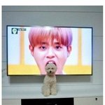 [댓글부탁해] <b>선행</b>은 어디까지가 좋아?