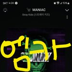 [스키즈] 밑에테이미안