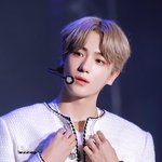 [더보이즈] ㅅㄷ인가..?) 갤러리에서 애들 사진 보다가