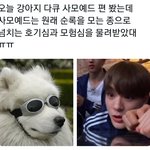 [NCT드림] 우리집 강아지 <b>실종</b>신고합니다