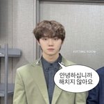 [<b>하현상</b>] 애옭