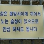 대학교 친구랑 ㅈㄴ 비즈니스로 지냄