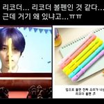 [스키즈] 헐 아까 리노가 분 <b>리코더</b>