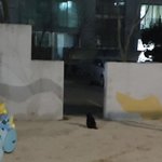 [댓글부탁해] 인스타 스토리 이렇게 올리는 사람 <b>mbti</b> 뭐일거같아