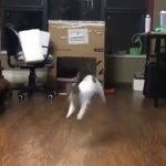 [드루와] <b>말</b> <b>조카</b> 많은 애들아 궁금한거 있어