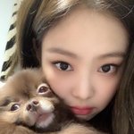 근데 제니 <b>견제</b>오졌는데 뜬거 대단하지않냐