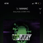 [스키즈] 제발 스밍 놓지말자..
